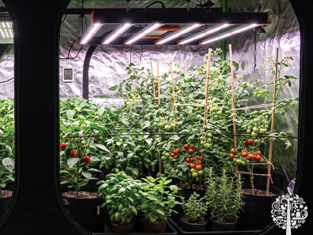 The Ultimate Indoor Grow Tent