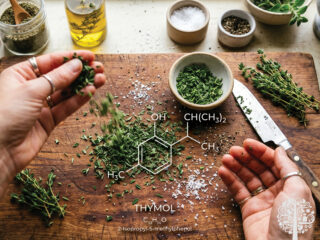 Culinary herbs