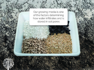 Watering Techniques can be determined by growing media. 