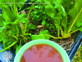 Use kitchen water in the garden.