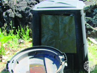 Compost tea technique.