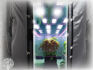 A guide to indoor growing.