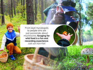 Foraging wild mushrooms.