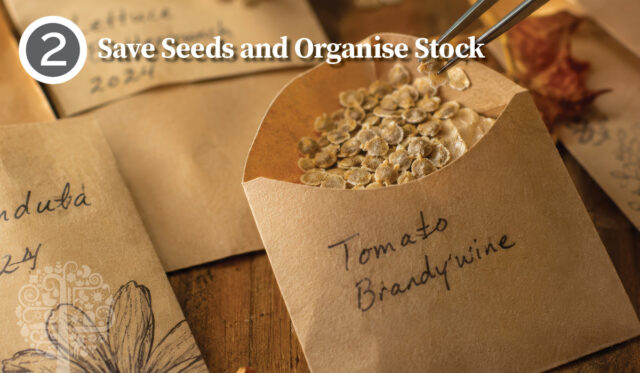 Save Seeds and Organize Stock