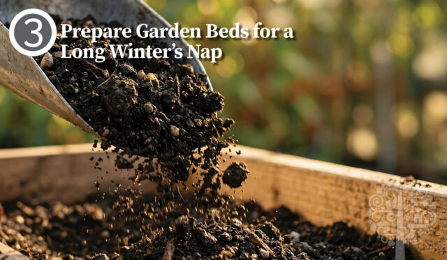 Prepare Garden Beds for a Long Winter’s Nap