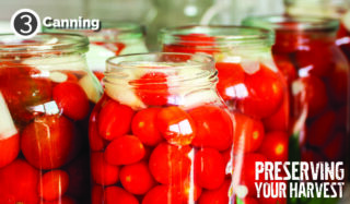canning