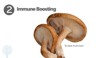 mushrooms boost immune health