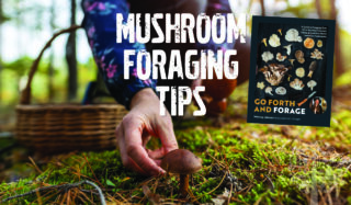 Go forth and forage, mushroom foraging tips.