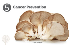 mushrooms help prevent cancer