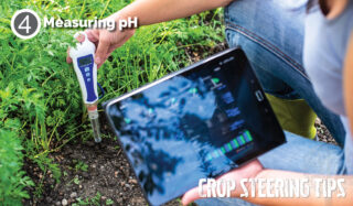 Crop Steering: pH 