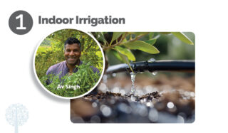 Av Singh describes indoor irrigation