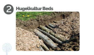 Hugelkultur Beds