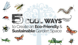 5 cool ways to create an eco-friendly and sustainable garden space