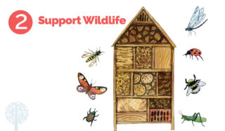 support wildlife