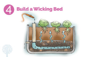 Build a wicking bed