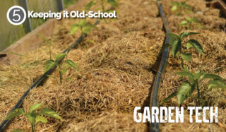 Kick it old school in the garden! 