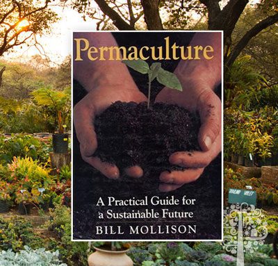 permaculture 101