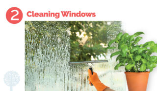 A hand of someone who is out of shot cleans a window with a squeegee and wearing orange cleaning gloves next to a green plant in a clay pot.
