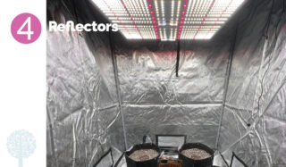 The interior of an indoor growing tent with reflective walls, a bright LED light above, and two filled canvas pots on the ground below.