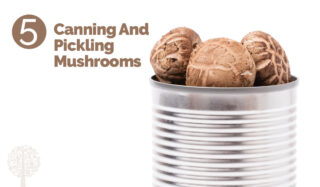 Canning and pickling mushrooms.