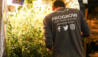 An employee at Progrow Exeter waters plants growing in a hydroponic tent.