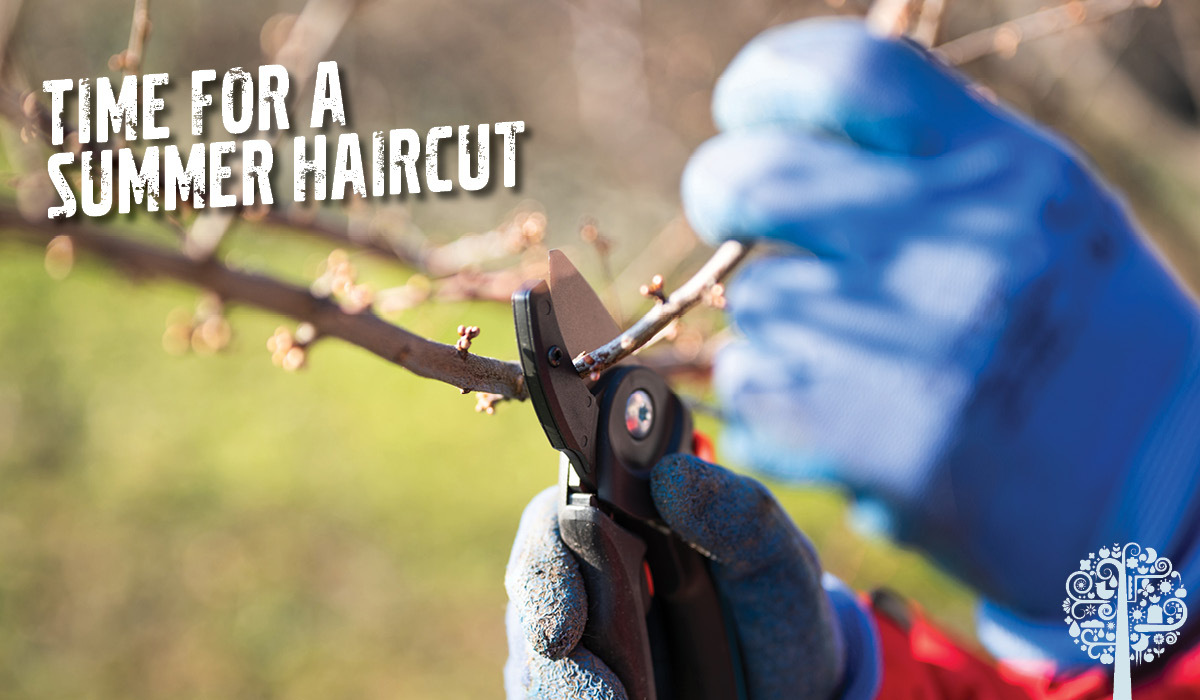 Spring Garden Essentials Garden Culture Magazine