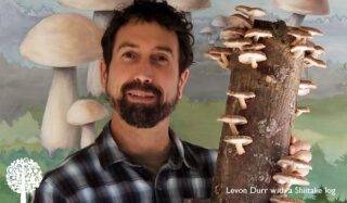 Levon is looking into the camera wearing a black and white chequered shirt, while proudly holding a shiitake log.