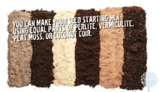 You can make your seed starting mix using equal parts of perlite, vermiculite, peat moss, or coconut coir.