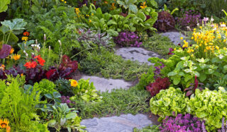 Un jardín Edimental con losas y una gama de flores en una gama de colores.