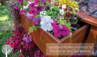 Upcycled planters are kind to our planet, and our wallets.