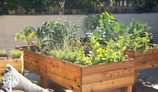 A raised bed made from wood with tall legs and plants inside.