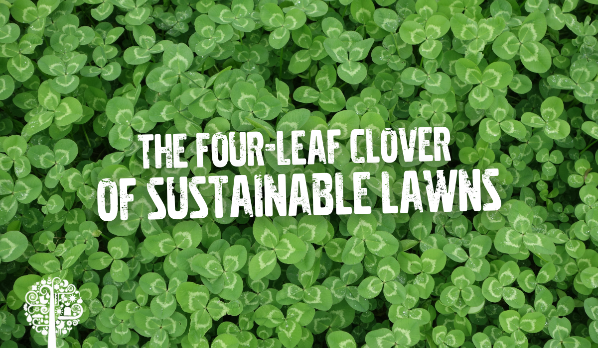 The Four-leaf clover of of sustainable lawns