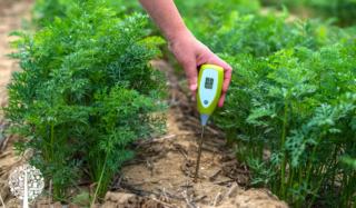PH meter being placed into soil with a hand to test the soil ph.