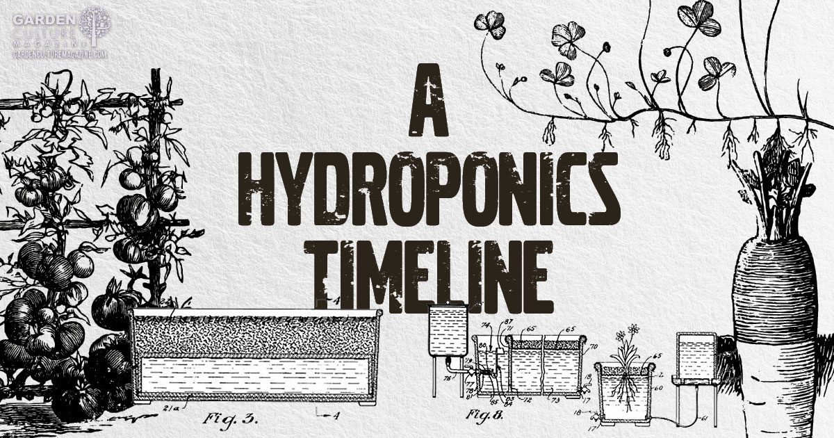 hydroponics timeline
