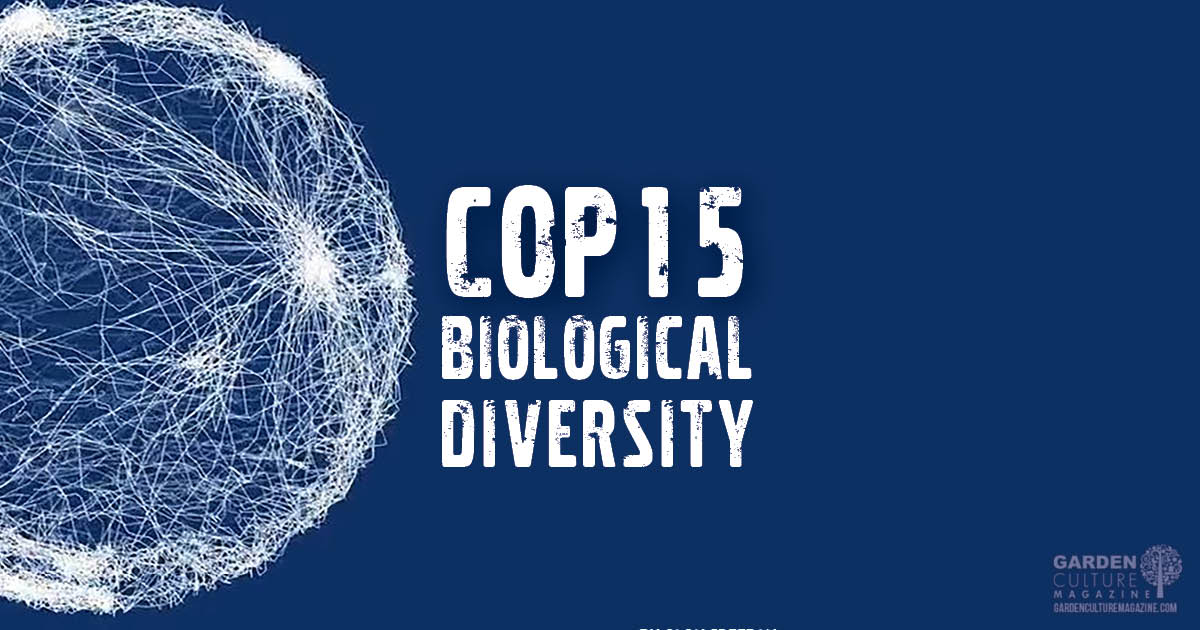 COP15 Strives To Protect Animal and Plant Diversity, Create A Nature ...
