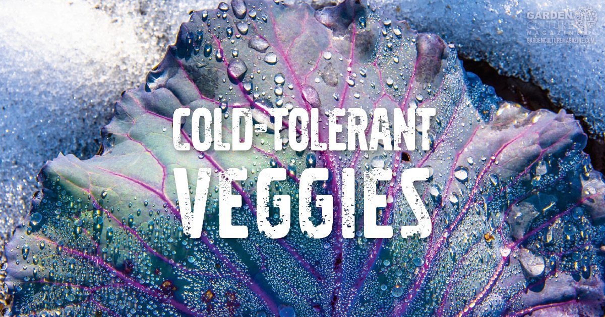 cold-tolerant veggies