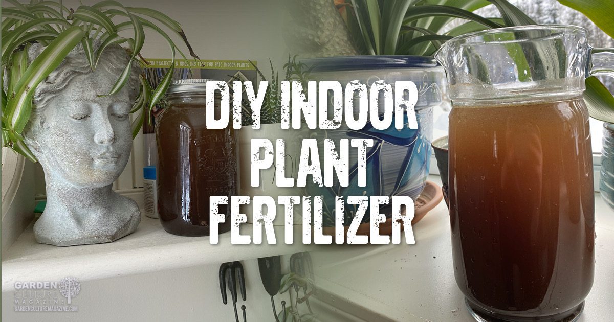 DIY Plant fertilizer