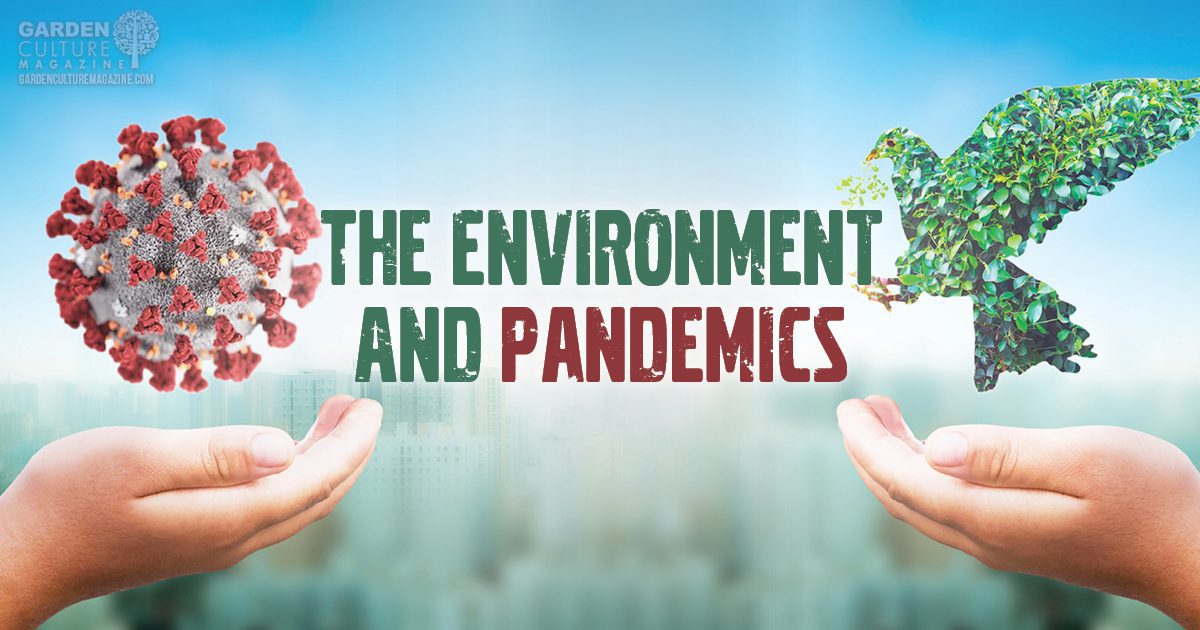 environment and pandemics
