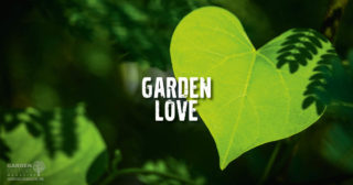 Garden Love