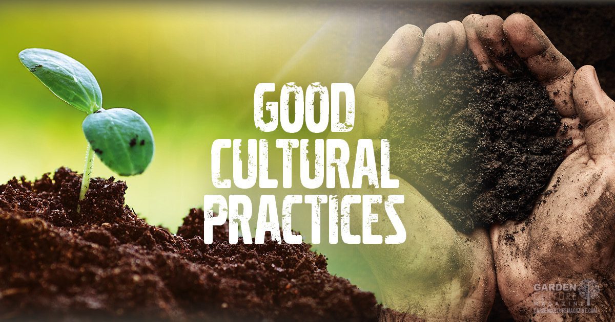 good-cultural-practices-in-the-garden-garden-culture-magazine