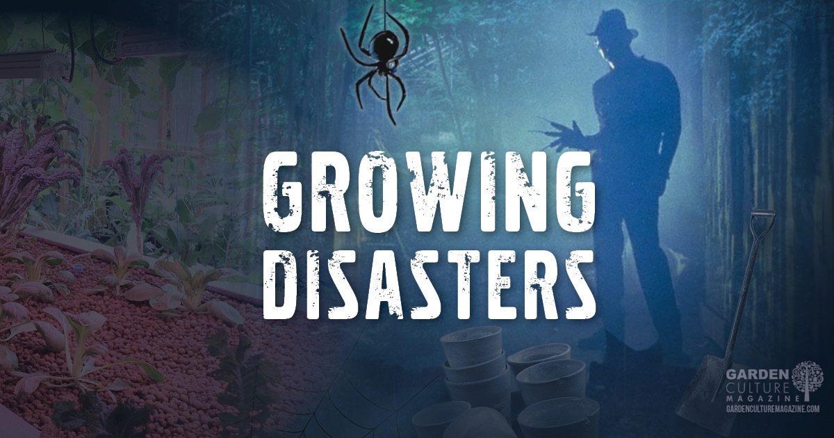 growing disasters