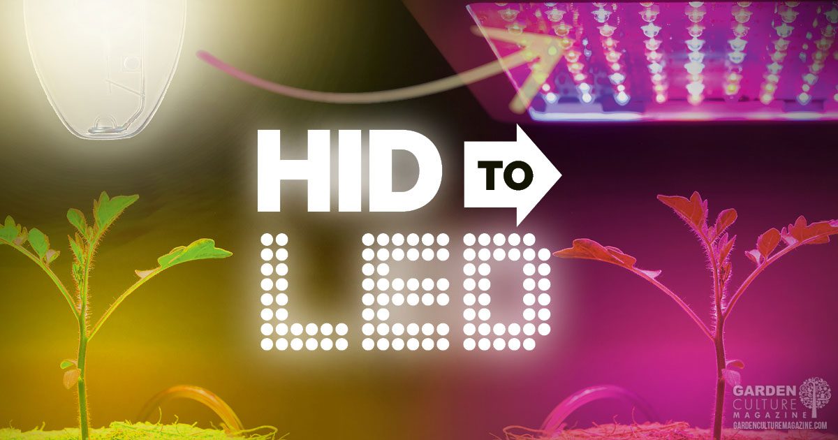 Making The Switch From HID To LED Grow Lights Garden Culture Magazine