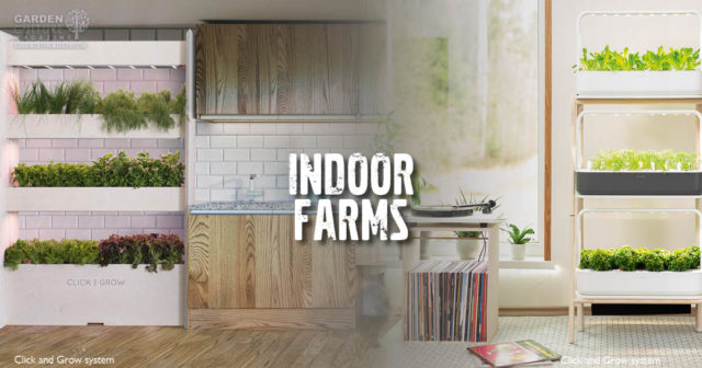 Indoor Farms