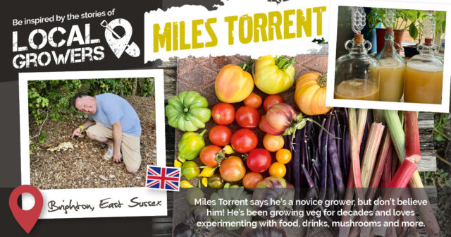 Miles grows veg in Brighton, UK