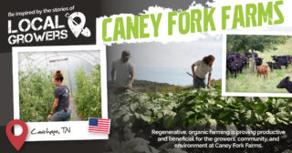 Caney Fork Farms