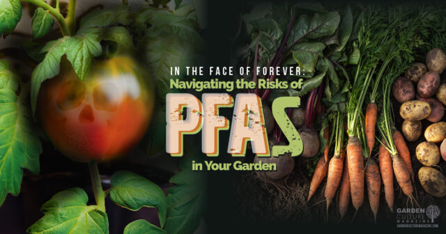 What is PFAS chemicals