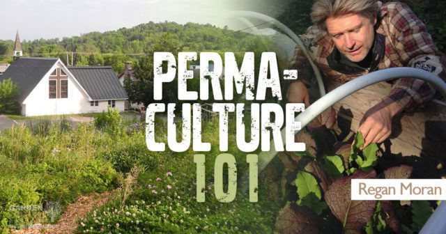 permaculture