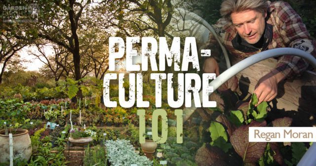 Permaculture Projects And The Crucial Art Of Communication