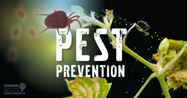 pest prevention