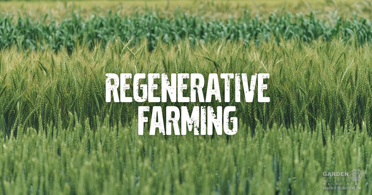 Could Regenerative Agriculture Be the Answer to Climate Change ...